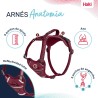 Imbracatura per Cani Company of Animals Bordeaux XS 20-32 cm