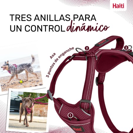 Imbracatura per Cani Company of Animals Bordeaux XS 20-32 cm
