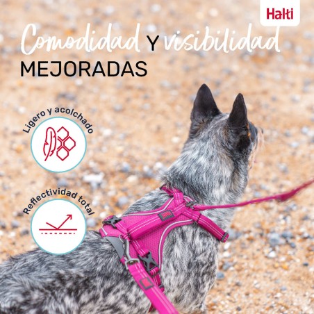 Imbracatura per Cani Company of Animals Bordeaux XS 20-32 cm
