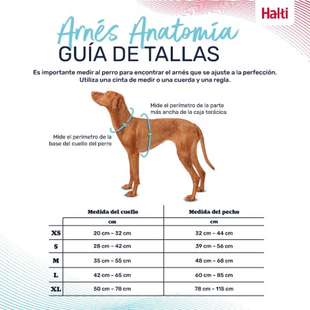 Imbracatura per Cani Company of Animals Bordeaux XS 20-32 cm