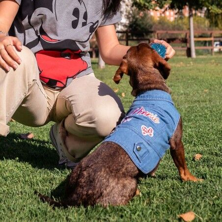 Giacca per cani Minnie Mouse Azzurro M
