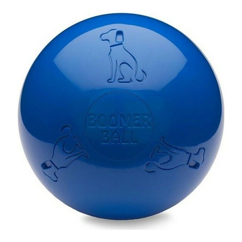 Giocattoli per cani Company of Animals Boomer Azzurro (150mm) Giocattoli per cani Company of Animals Boomer Azzurro (150mm)