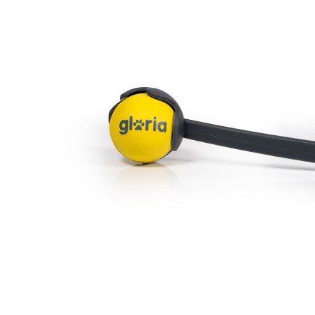 Lancia Palline per Cani Gloria