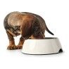 Ciotola per cani Hunter Melammina Acciaio inossidabile Bianco 350 ml (18,5 x 18,5 x 9,5 cm)