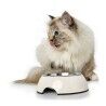 Ciotola per cani Hunter Melammina Acciaio inossidabile Bianco 350 ml (18,5 x 18,5 x 9,5 cm)