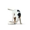 Ciotola per cani Hunter Nero 1,4 L Melammina