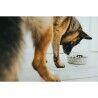 Ciotola per cani Hunter Silicone Acciaio inossidabile 350 ml