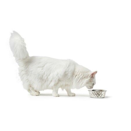 Ciotola per cani Hunter Silicone Acciaio inossidabile 1,75 L