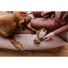 Peluche per cani Hunter Marrone 100 % Riciclato Orso