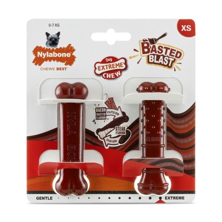 Osso Nylabone Marrone Bacon XS 2 Unità