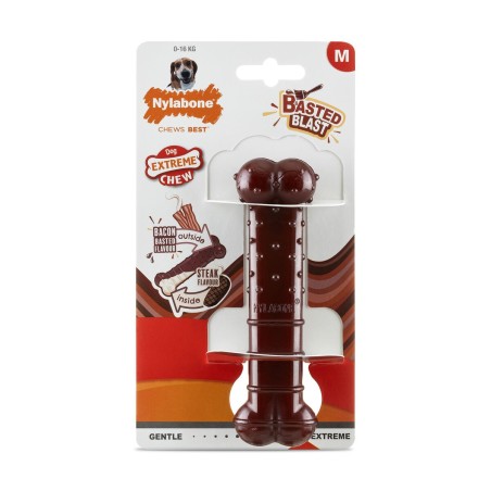 Osso Nylabone Marrone Bacon M