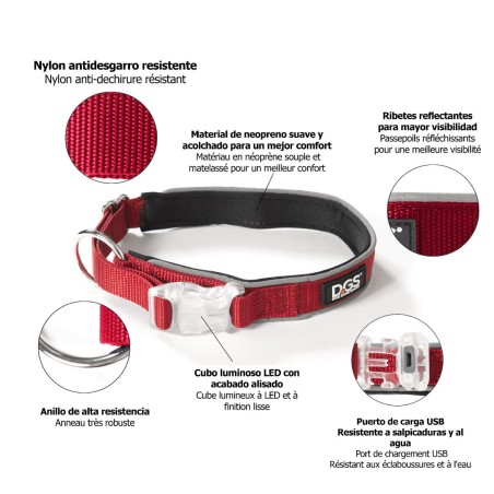 Collare per Cani Dog Gone Smart Rosso 20 Luce