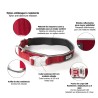 Collare per Cani Dog Gone Smart Rosso 20 Luce