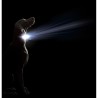 Collare per Cani Dog Gone Smart Viola 20 Luce