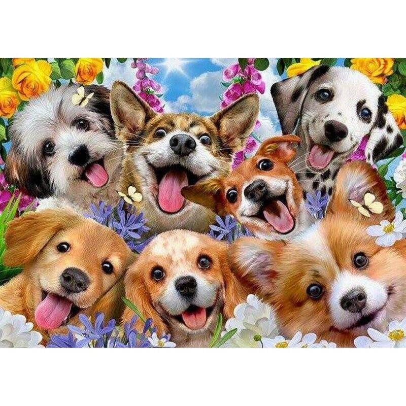 Puzzle Educa Doggy selfie 1000 Pezzi Puzzle Educa Doggy selfie 1000 Pezzi