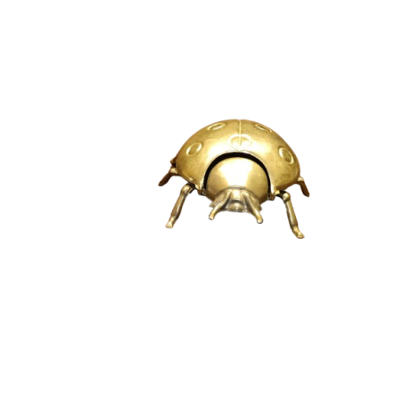 Svuota Tasche Coccinella