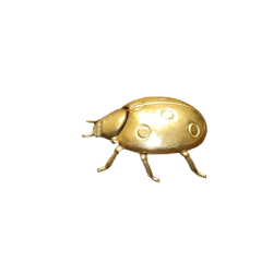 Svuota Tasche Coccinella