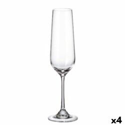 Calice da champagne Bohemia Crystal Sira 200 ml champagne 6 Pezzi (6 Unità) (4 Unità)