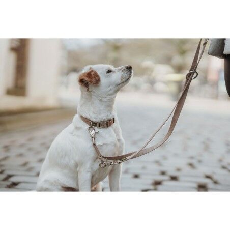 Guinzaglio per Cani Hunter Inari Beige 200 cm