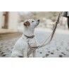 Guinzaglio per Cani Hunter Inari Beige 200 cm