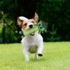 Giocattoli per cani The Avengers   Verde 100 % poliestere