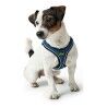 Imbracatura per Cani Hunter 35-37 cm Azzurro XS