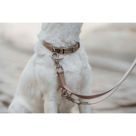 Collare per Cani Hunter Inari Beige 40-55 cm L
