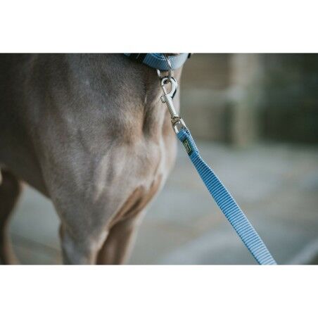 Guinzaglio per Cani Hunter Azzurro 100 cm
