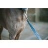 Guinzaglio per Cani Hunter Azzurro 100 cm