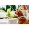 Guinzaglio per Cani Hunter MALIA Beige 1 x 200 cm