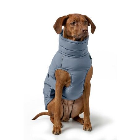 Abbigliamento per animali domestici Hunter PAXSON Azzurro Poliestere
