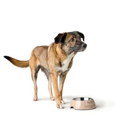 Ciotola per cani Hunter LUTON 350 ml