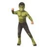 Costume per Bambini Rubies 700648_M Verde Lilla