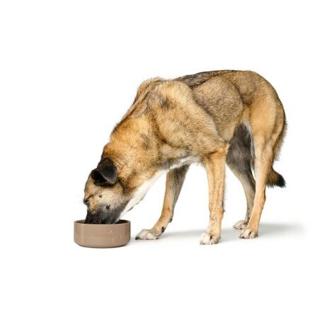 Ciotola per cani Hunter OSBY Beige Ceramica 550 ml