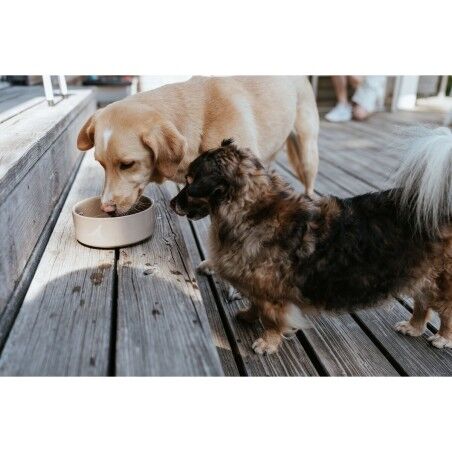 Ciotola per cani Hunter OSBY Beige Ceramica 550 ml