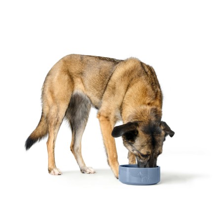 Ciotola per cani Hunter OSBY Azzurro Ceramica 350 ml