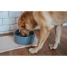 Ciotola per cani Hunter OSBY Azzurro Ceramica 350 ml