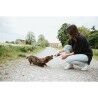 Giocattoli per cani Hunter NEBRASKA Azzurro Pecora