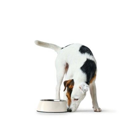 Ciotola per cani Hunter Bianco Melammina 1,4 L (Ricondizionati A)