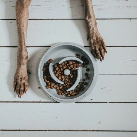 Ciotola per cani Hunter Melammina 900 ml