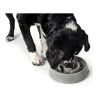 Ciotola per cani Hunter Melammina 900 ml