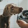 Ciotola per cani Hunter Melammina 900 ml