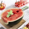 Taglia Anguria a Cubetti Cutmil InnovaGoods
