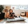 Cuccia per Cani Hunter Rockford Grigio 100 x 70 cm