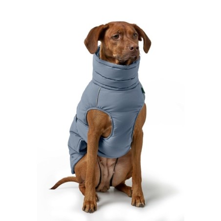 Abbigliamento per animali domestici Hunter PAXSON Azzurro Poliestere