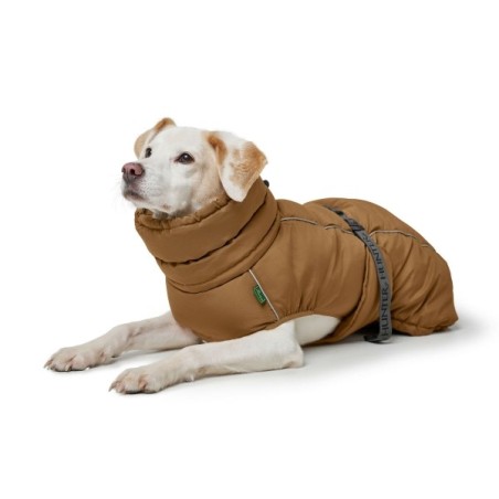 Abbigliamento per animali domestici Hunter PAXSON Marrone Poliestere