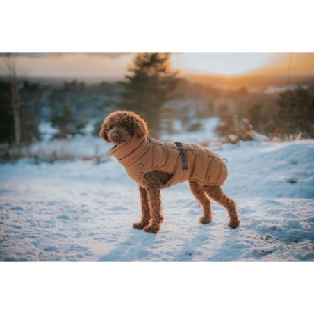 Abbigliamento per animali domestici Hunter PAXSON Marrone Poliestere