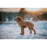 Abbigliamento per animali domestici Hunter PAXSON Marrone Poliestere