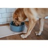 Ciotola per cani Hunter OSBY GLAZED Azzurro Ceramica 2,5 L