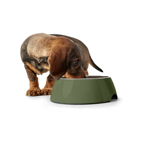 Ciotola per cani Hunter Verde 350 ml